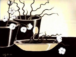 Cotton Spirit by Nicky Chandler